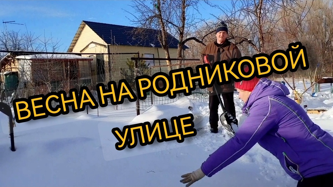 Чистим снег на даче и отдыхаем. 21.12.2024 смотреть онлайн