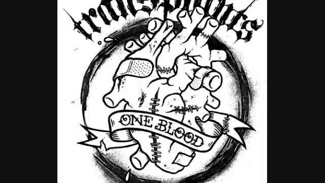The Transplants-California Babylon смотреть онлайн