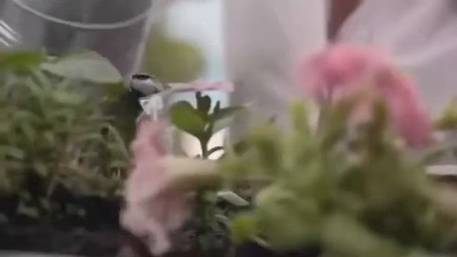 5 “Красота,как образ жизни“ Oriflame YouTube смотреть онлайн