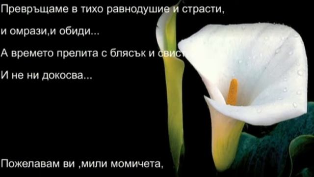 Честит Празник,мили Дами ! смотреть онлайн