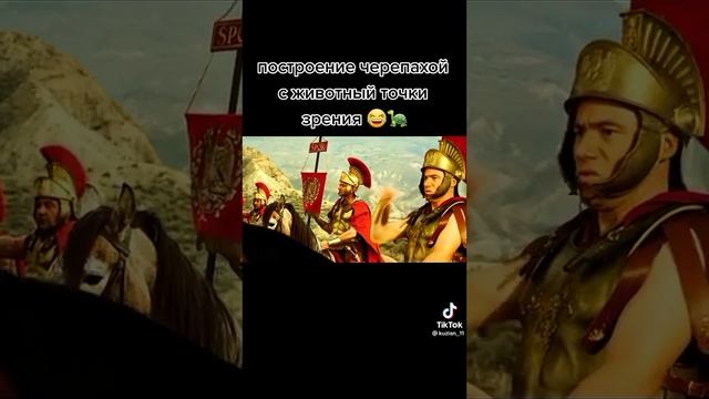 построение черепахой с животный точки зрения. 😂 смотреть онлайн