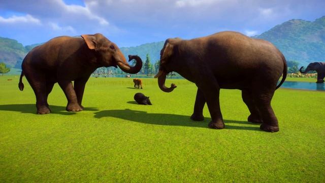 Funny Animals Moments Elephants Fight, Lion VS Tiger, Bear Fight, Rhino VS Hippo, Epic Animal Fight смотреть онлайн