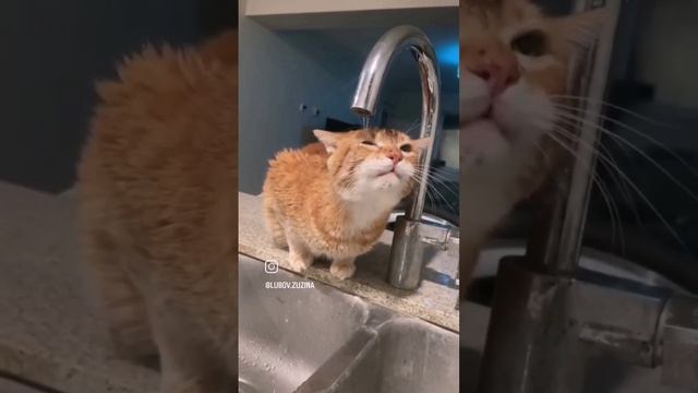 Мои коллеги после корпоратива смотреть онлайн