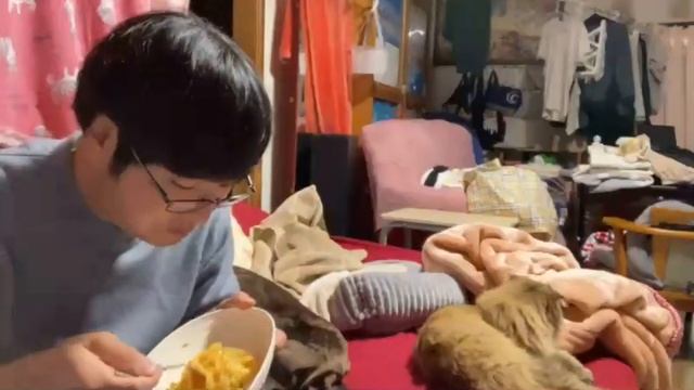 2024年12月20日 紅白歌枠合戦参加者アワードシール許可どり作成放送(Lv346574970) 大仏 смотреть онлайн