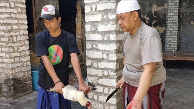 PEMOTONGAN AYAM 63 EKOR смотреть онлайн