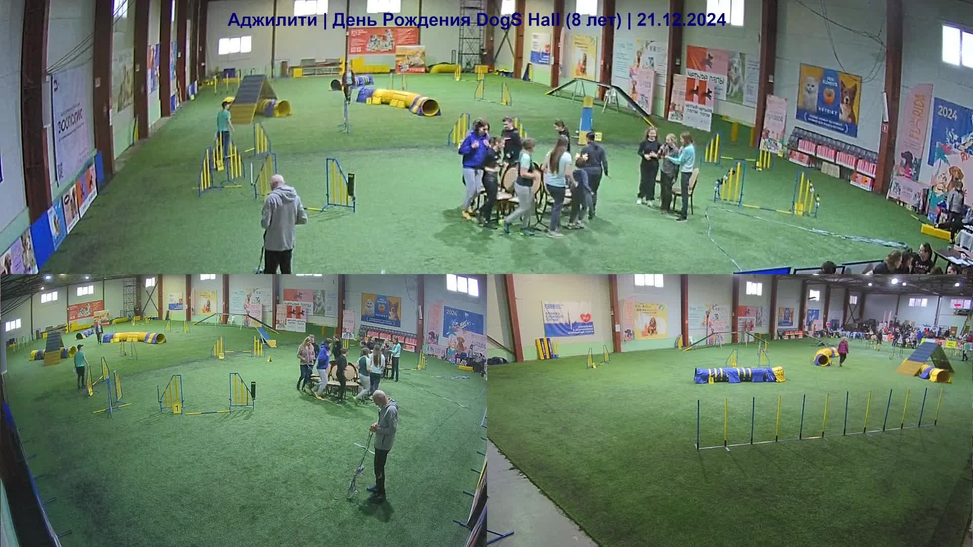 Аджилити | День Рождения Dogs Hall (8 лет) часть 4 из 9| 21.12.2024