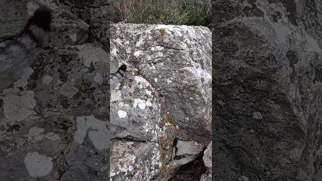 Солнечная тропа и окрестности. 30.01.22. смотреть онлайн