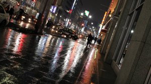 Ночной дождь. Сергей Чекалин