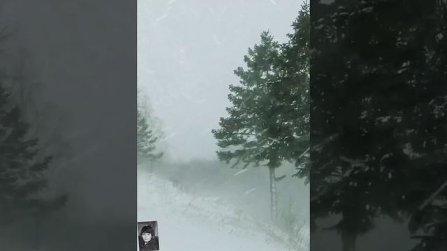 В сиреневых сумерках. Исполняет Ольга Павловец. смотреть онлайн