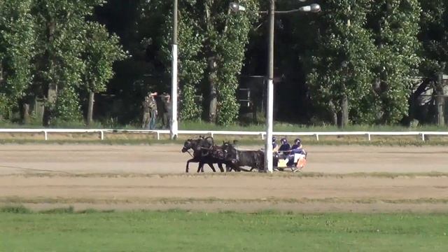 Московский ипподром. Русские тройки. 06.06.15. Заезд 1 смотреть онлайн