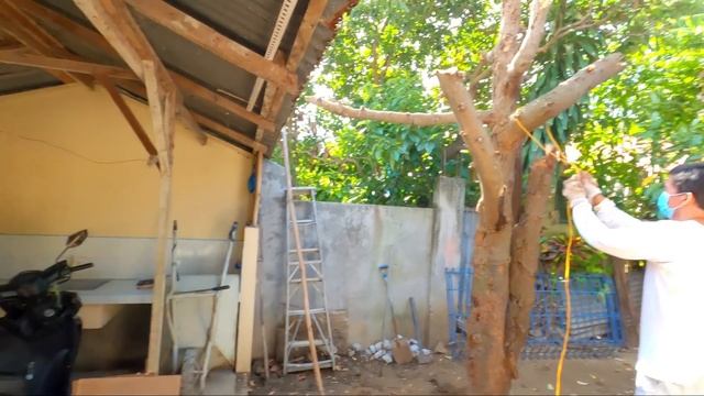 MAGPAPAGAWA NA AKO NG MADLA LOFT TV DREAM PIGEON MANSION LOFT WORTH 100K PARA SA MGA KALAPATI NATIN смотреть онлайн