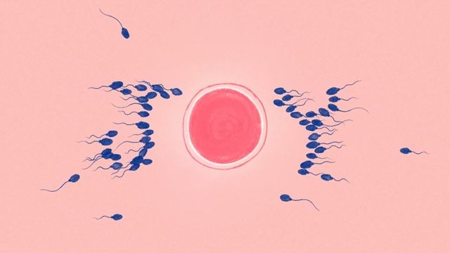 Eggs and Sperm Donation Campaign смотреть онлайн