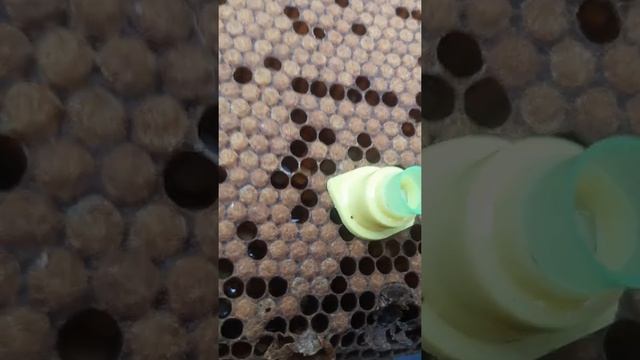 как вывести маток.выводим маток. смотреть онлайн