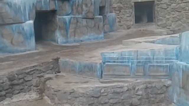 Злой бурий медветь смотреть онлайн