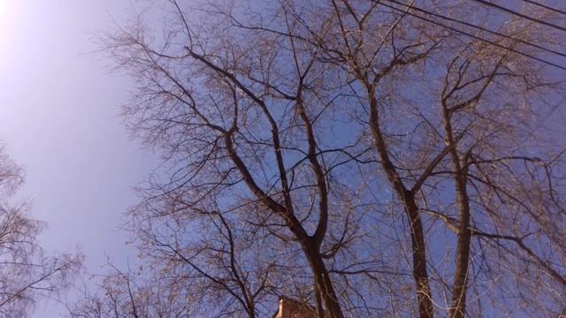 Апрель, городская птичка. (НН) смотреть онлайн