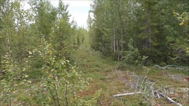 Север 2022, август Фильм 3 й смотреть онлайн