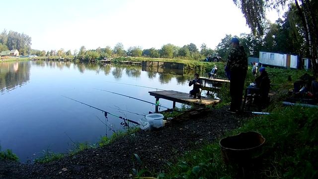 В Лагуне ловим карпа и щуку !Сын разловил спиннинг Johncoo vivid! смотреть онлайн