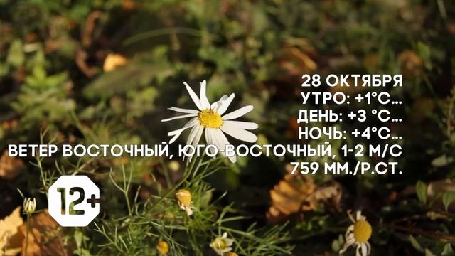 Погода на 28 октября смотреть онлайн