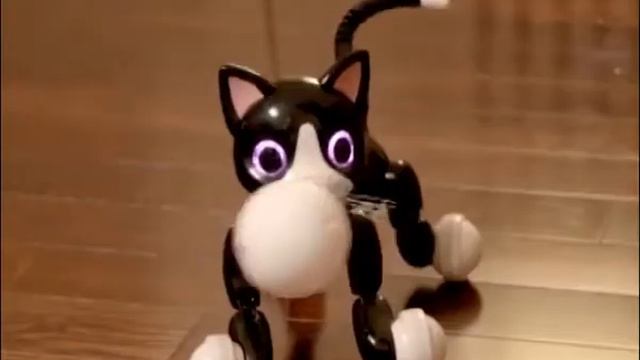 Zoomer Meowzies And Zoomer Kitty Collection - Interactive Robot Cat Toy смотреть онлайн