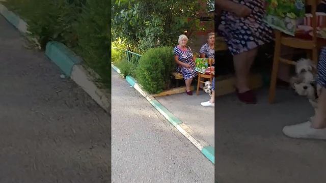 3 сентября..... День рождения бабушки смотреть онлайн