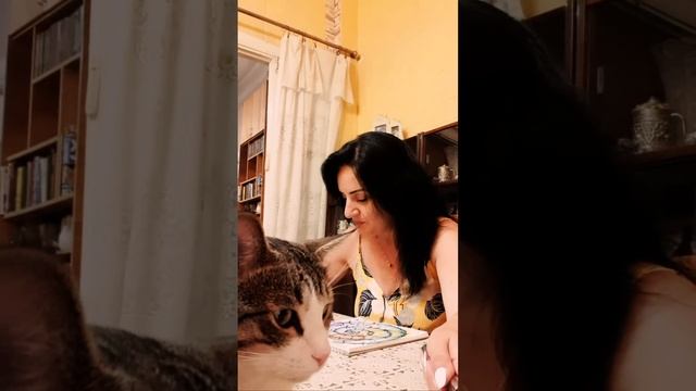 Anush The Blogger в прямом эфире!