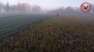 ОХОТА НА КОСУЛЮ НА ГОНУ. Закрытие охоты.