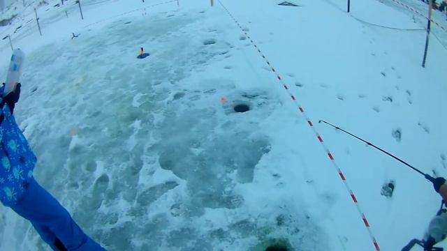 Рыбачим в каньоне.Ловим форель на вибы, блесна и пасту.Выиграли путевку! смотреть онлайн