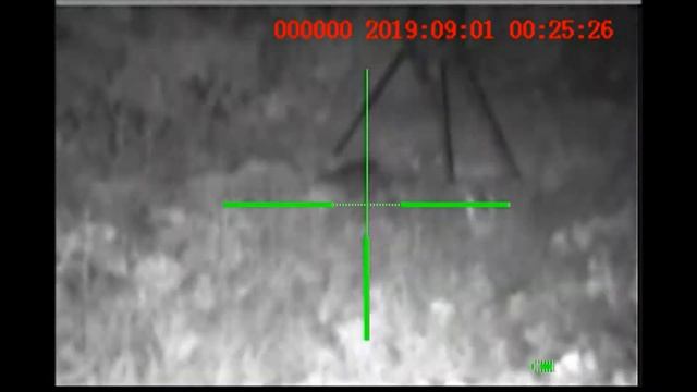 Sightmark Photon XT смотреть онлайн