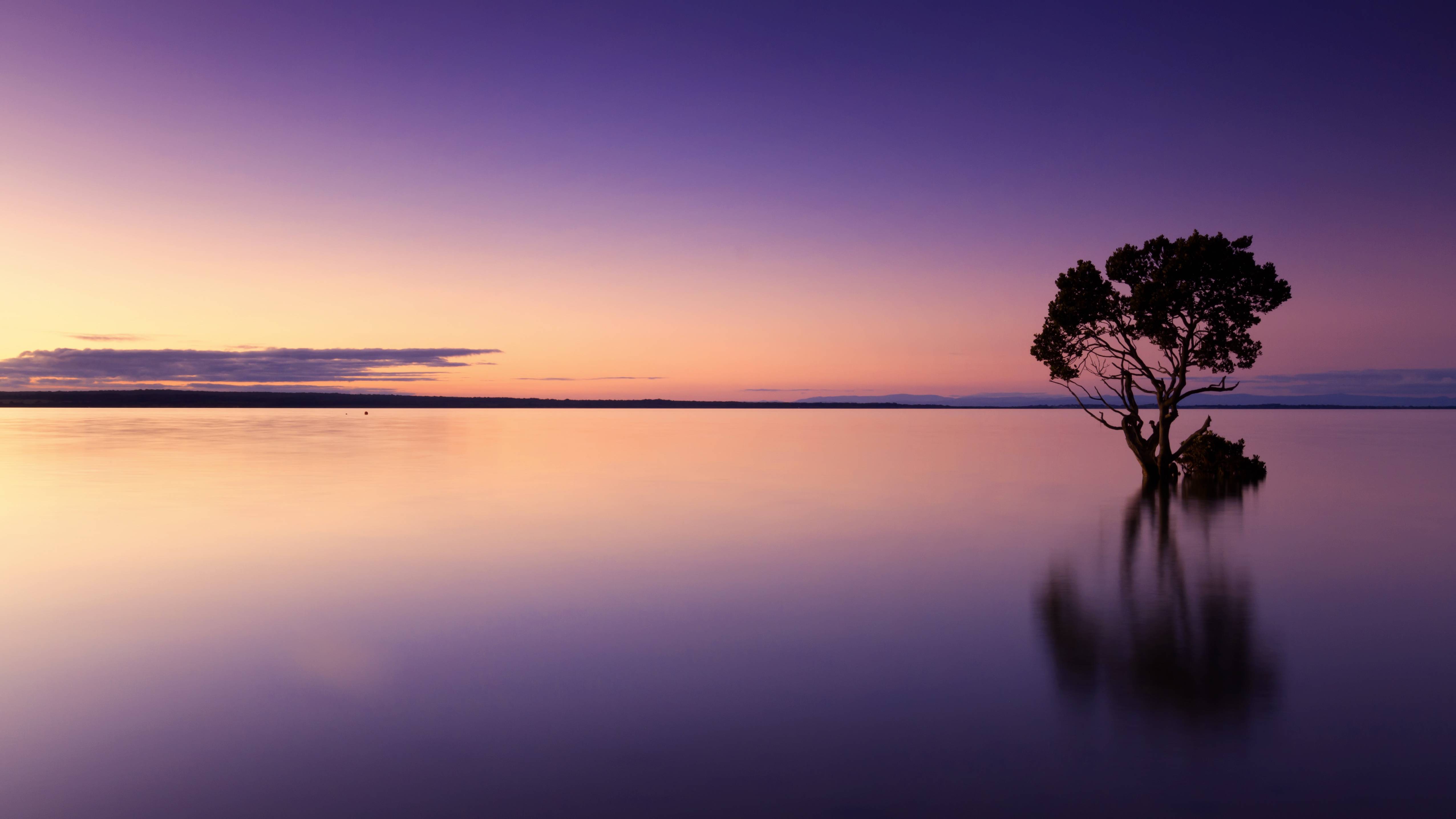 les смотреть онлайн