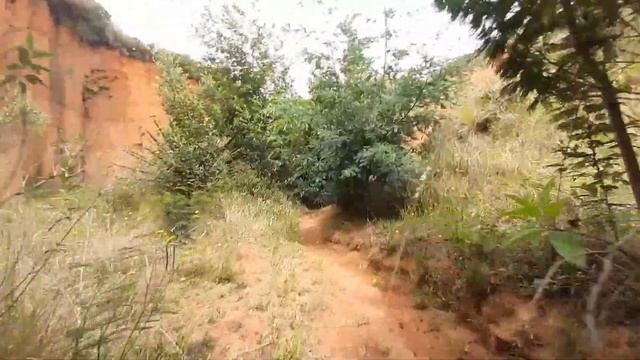 Naturaleza Colombia Desierto Sabrinzky Recorrido Completo Aventura Flora y Fauna смотреть онлайн