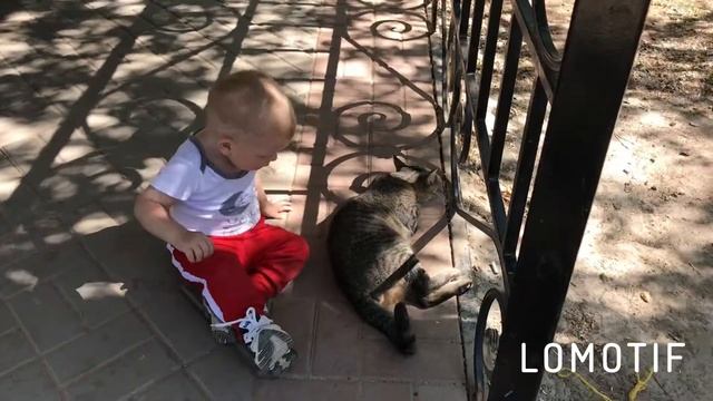 Максиму 1,5 года киса кошка котик смотреть онлайн