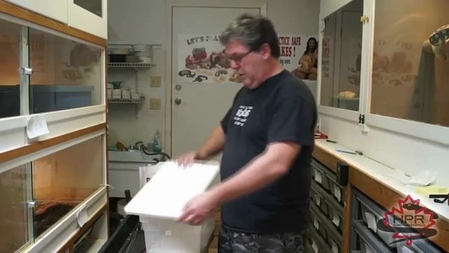 Reptile Ventures No.24 - Egg Incubation Method for Python Eggs смотреть онлайн