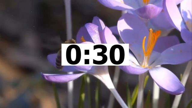 Английский ЕГЭ Говорение Task 3 A HEALTHY LIFESTYLE (Тренажер ЕГЭ) смотреть онлайн