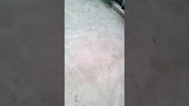 Арагог смотреть онлайн