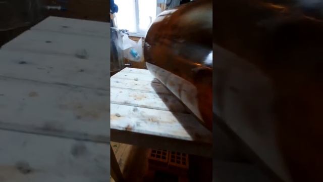 video 2024 11 18 20 38 16 смотреть онлайн