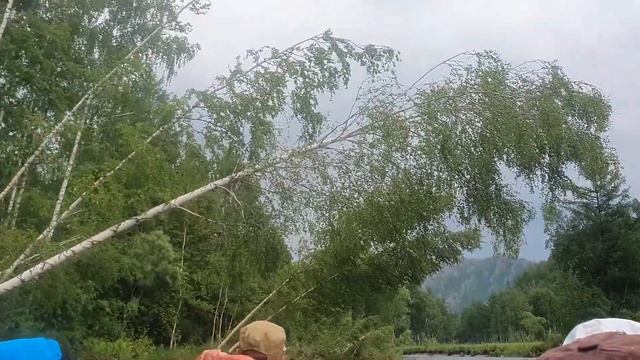 Сплав по Июсу. Река Белый Июс. Ефремкино, Хакасия