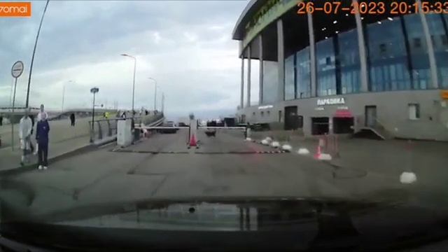 Собака прыгает через шлагбаум) смотреть онлайн