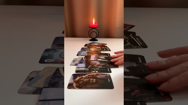 ПОЯВИТСЯ…ПОЗВОНИТ… НАПИШЕТ…..