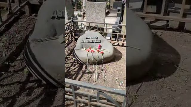 могила Евгения Дворжецкого смотреть онлайн