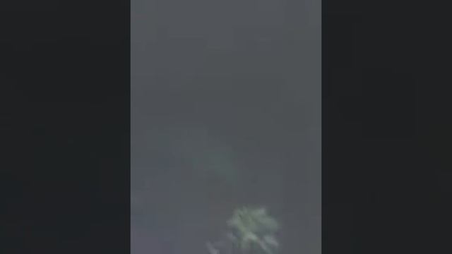 Моя красивая черепаха смотреть онлайн