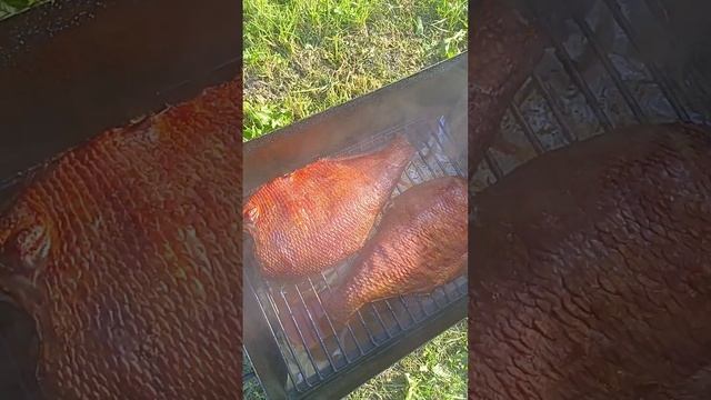 Лещ горячего копчения смотреть онлайн