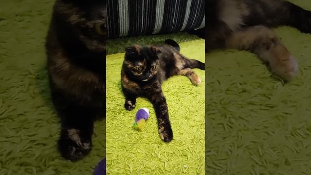 Фото на паспорт😄 смотреть онлайн