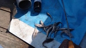 Заключительное видео на моём канале.