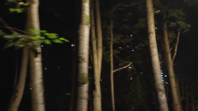 Битцевский парк. Теплый вечер. смотреть онлайн