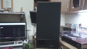 Акустика S90 новый дизайн, 20 дней потратил на переделку.