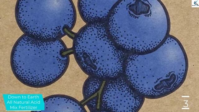 Top 5 Best Fertilizer for Blueberries Reviews in 2022 смотреть онлайн