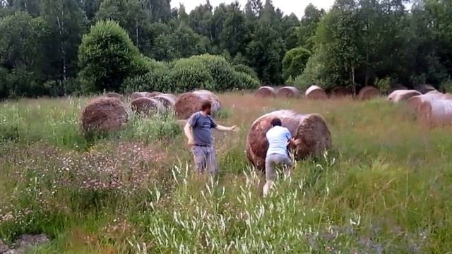 Исследование физиками полей смотреть онлайн