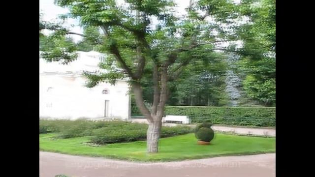 Цветы в Петергофе, подобное в Версале смотреть онлайн