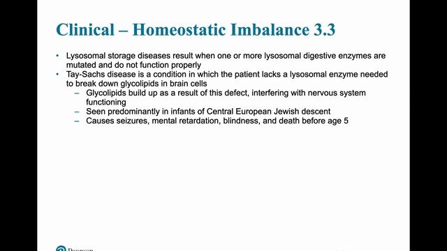 Chapter 3 Sections 7 and 8 смотреть онлайн