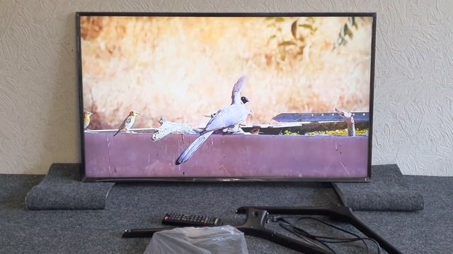 Samsung UE43N5570AU В идеальном состоянии смотреть онлайн